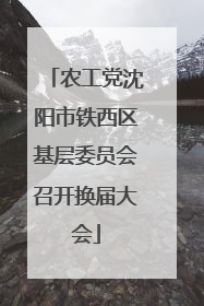 农工党沈阳市铁西区基层委员会召开换届大会