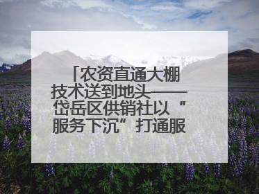 农资直通大棚 技术送到地头——岱岳区供销社以“服务下沉”打通服务“三农”最后一公里