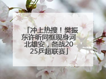 冲上热搜！樊振东许昕同框现身河北雄安，备战2025乒超联赛