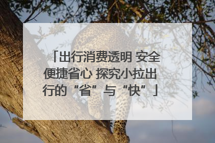 出行消费透明 安全便捷省心 探究小拉出行的“省”与“快”