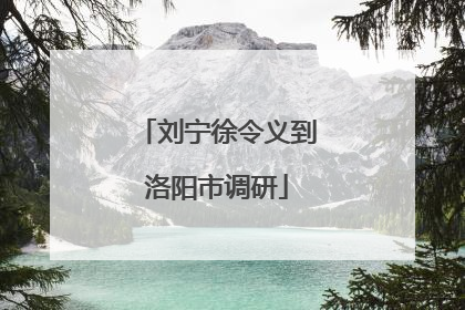 刘宁徐令义到洛阳市调研