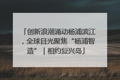 创新浪潮涌动杨浦滨江，全球目光聚焦“杨浦智造”｜相约复兴岛