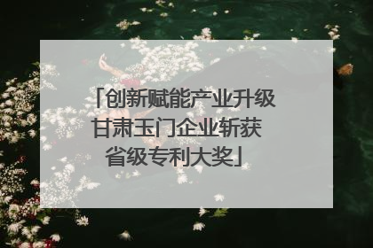 创新赋能产业升级 甘肃玉门企业斩获省级专利大奖