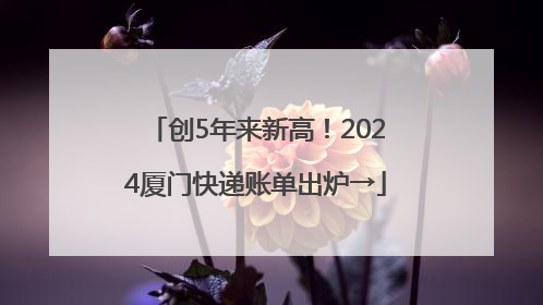 创5年来新高！2024厦门快递账单出炉→