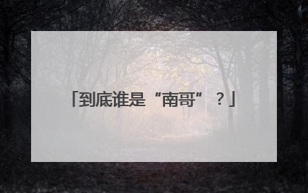 到底谁是“南哥”？