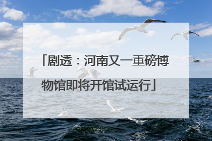 剧透：河南又一重磅博物馆即将开馆试运行