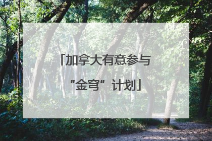 加拿大有意参与“金穹”计划