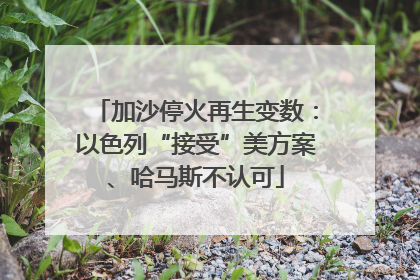 加沙停火再生变数：以色列“接受”美方案、哈马斯不认可