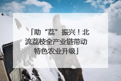 助“荔”振兴！北流荔枝全产业链带动特色农业升级