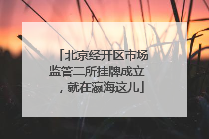 北京经开区市场监管二所挂牌成立，就在瀛海这儿