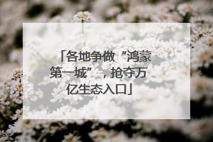 各地争做“鸿蒙第一城”，抢夺万亿生态入口