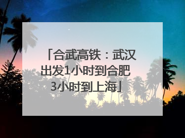 合武高铁：武汉出发1小时到合肥3小时到上海