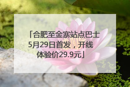 合肥至金寨站点巴士5月29日首发，开线体验价29.9元