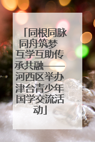 同根同脉同舟筑梦 互学互助传承共融——河西区举办津台青少年国学交流活动