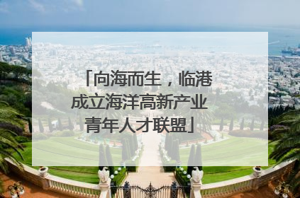 向海而生，临港成立海洋高新产业青年人才联盟