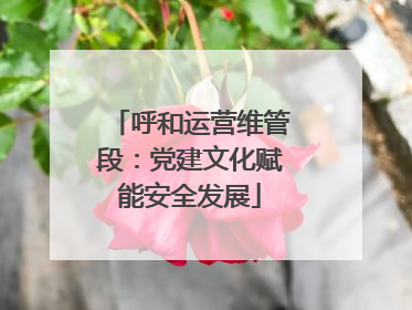 呼和运营维管段：党建文化赋能安全发展