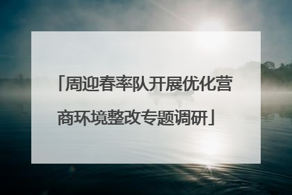 周迎春率队开展优化营商环境整改专题调研
