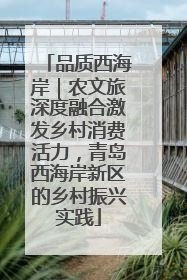 品质西海岸｜农文旅深度融合激发乡村消费活力，青岛西海岸新区的乡村振兴实践
