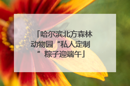 哈尔滨北方森林动物园“私人定制”粽子迎端午