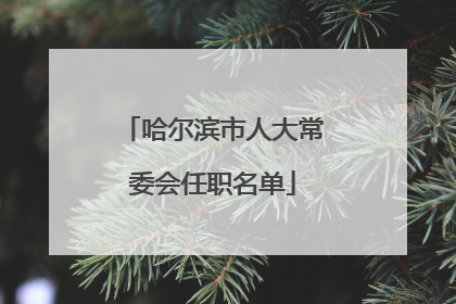 哈尔滨市人大常委会任职名单