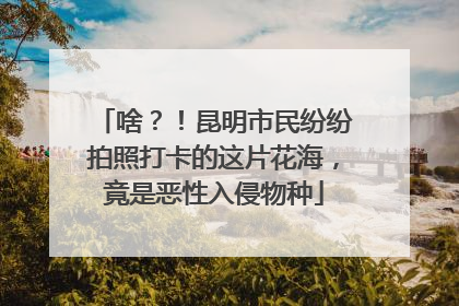 啥？！昆明市民纷纷拍照打卡的这片花海，竟是恶性入侵物种