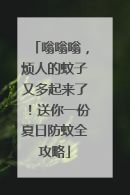 嗡嗡嗡，烦人的蚊子又多起来了！送你一份夏日防蚊全攻略