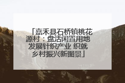 嘉禾县石桥镇桃花源村：盘活闲置用地发展针织产业 织就乡村振兴新图景