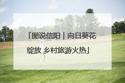 图说信阳｜向日葵花绽放 乡村旅游火热