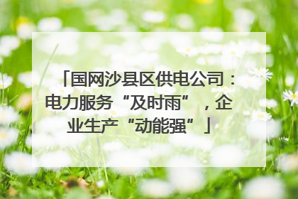 国网沙县区供电公司：电力服务“及时雨”，企业生产“动能强”