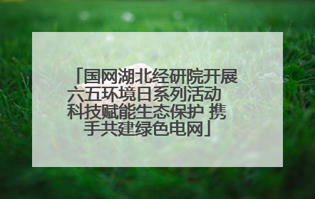 国网湖北经研院开展六五环境日系列活动 科技赋能生态保护 携手共建绿色电网