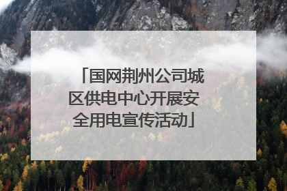 国网荆州公司城区供电中心开展安全用电宣传活动