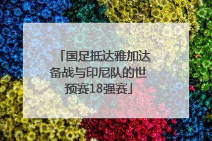 国足抵达雅加达备战与印尼队的世预赛18强赛