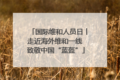 国际维和人员日丨走近海外维和一线 致敬中国“蓝盔”
