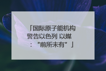 国际原子能机构警告以色列 以媒：“前所未有”