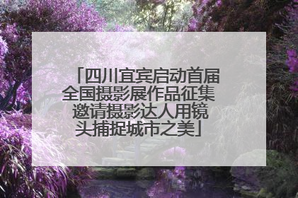 四川宜宾启动首届全国摄影展作品征集 邀请摄影达人用镜头捕捉城市之美
