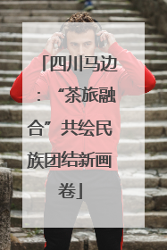 四川马边：“茶旅融合”共绘民族团结新画卷