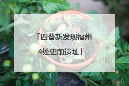四普新发现福州4处史前遗址