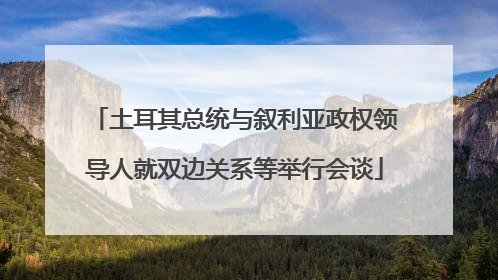 土耳其总统与叙利亚政权领导人就双边关系等举行会谈
