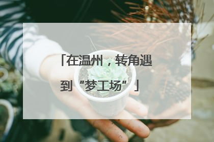 在温州，转角遇到“梦工场”