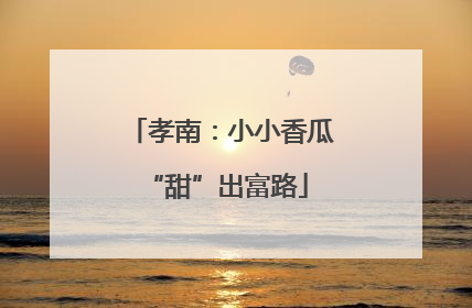 孝南：小小香瓜 “甜”出富路