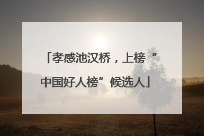 孝感池汉桥，上榜“中国好人榜”候选人