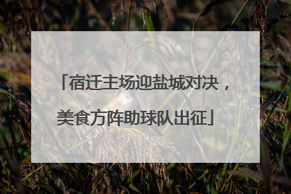 宿迁主场迎盐城对决，美食方阵助球队出征