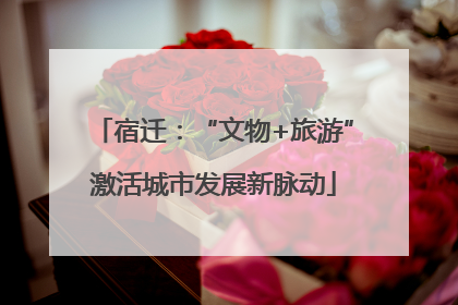 宿迁：“文物+旅游”激活城市发展新脉动