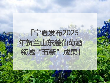 宁夏发布2025年贺兰山东麓葡萄酒领域“五新”成果