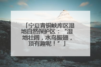 宁夏青铜峡库区湿地自然保护区：“湿地壮阔，水鸟振翅，顶有趣呢！”