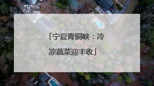 宁夏青铜峡：冷凉蔬菜迎丰收