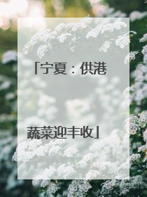 宁夏：供港蔬菜迎丰收