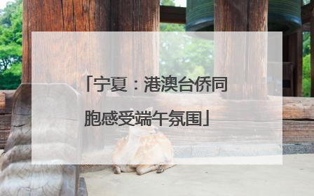 宁夏：港澳台侨同胞感受端午氛围