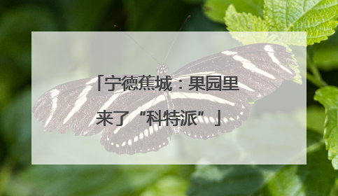 宁德蕉城：果园里来了“科特派”