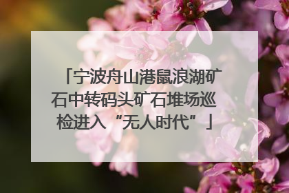 宁波舟山港鼠浪湖矿石中转码头矿石堆场巡检进入“无人时代”